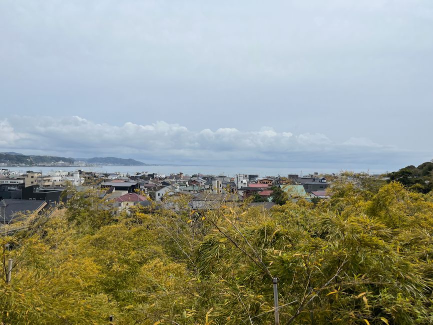 Kamakura-Freitag-11.04.25