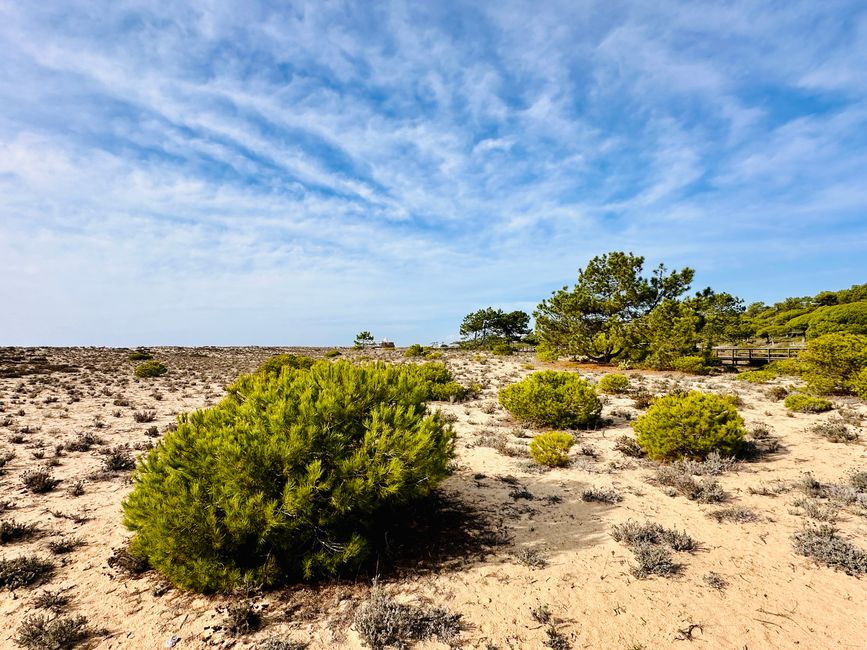 Von Praia do Garrão Nascente bis Praia do Ancão – Ein Strandspaziergang an der Algarve