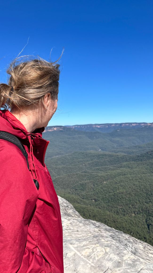 Blue Mountains