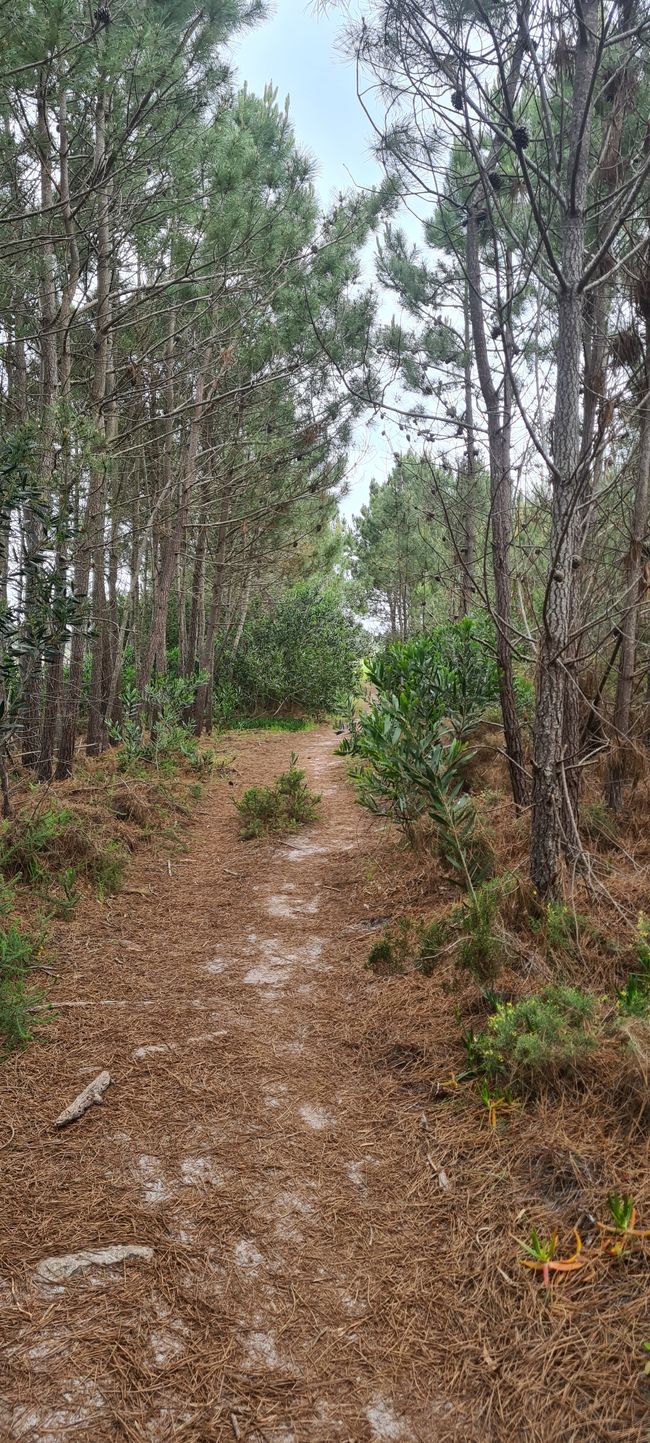 6. Etapa Praia de Odeceixe - Monte Clerigo