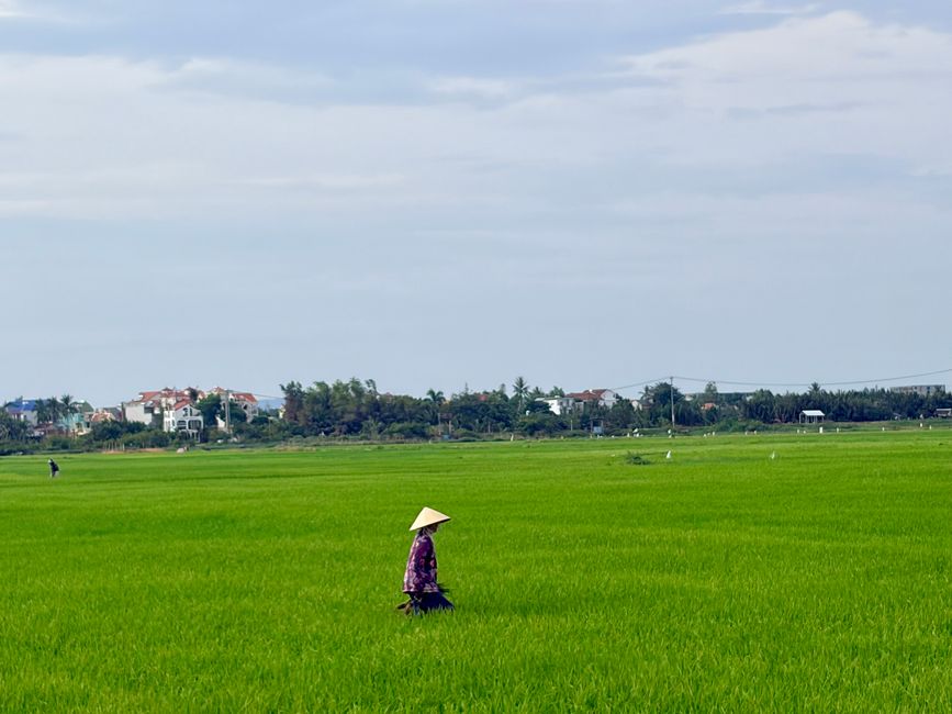 Hoi An Easy Rider