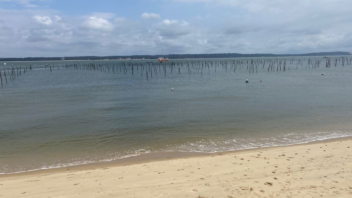 CAP FERRET-Austernzucht