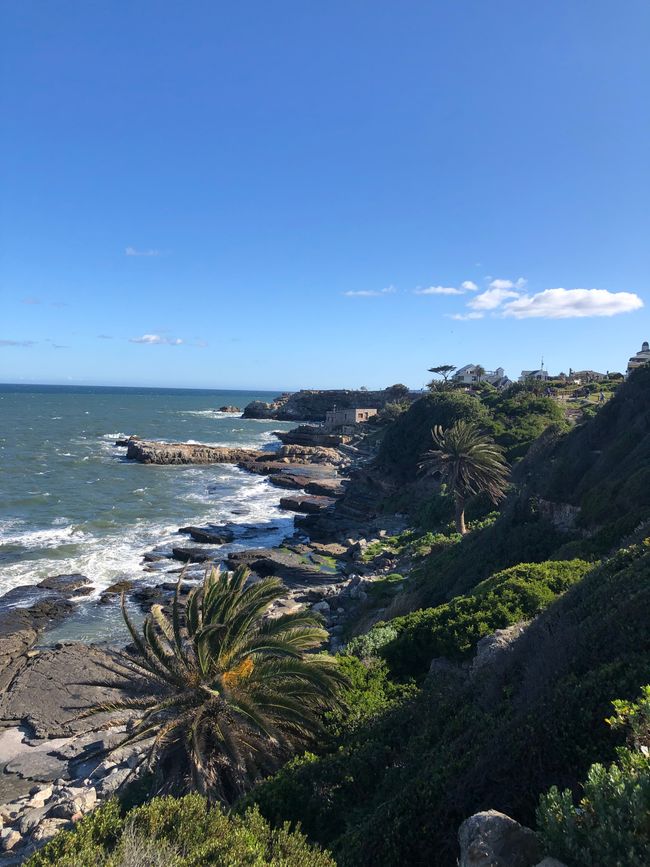 Ausflug nach Hermanus