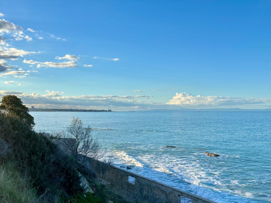 Bisceglie ☀️☀️⛅️