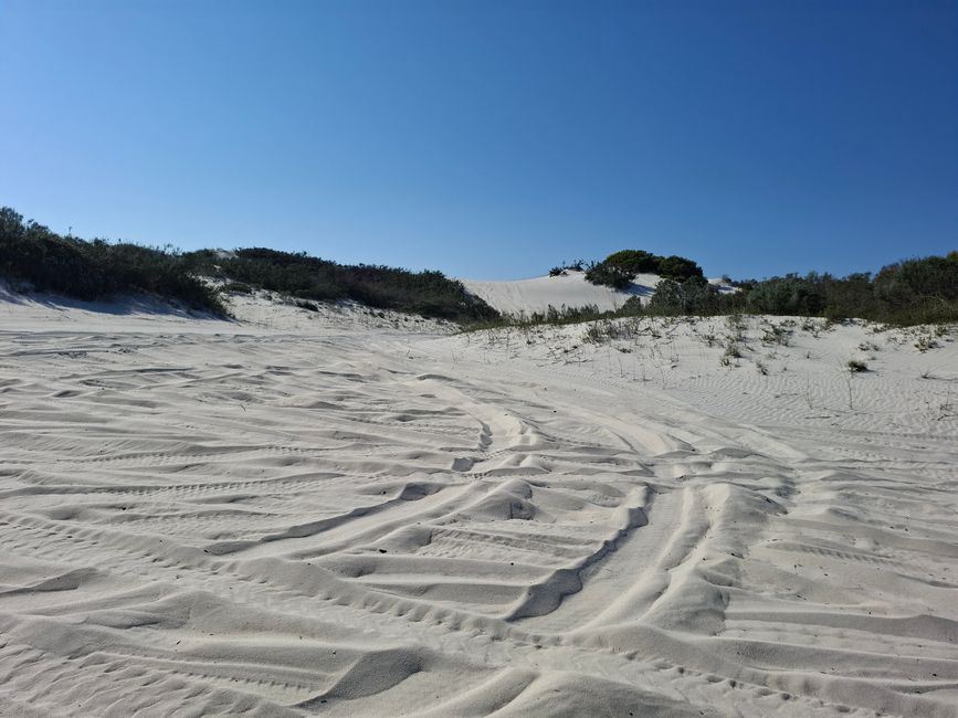 Paseo en cuatrimoto el segundo + Sandboarding