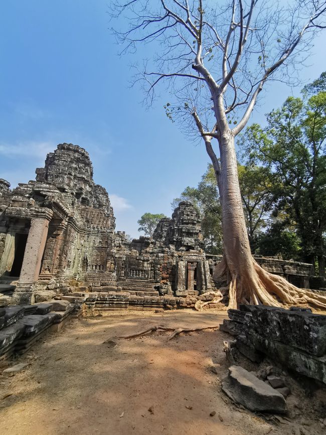 On Temple Tour in Siem Reap