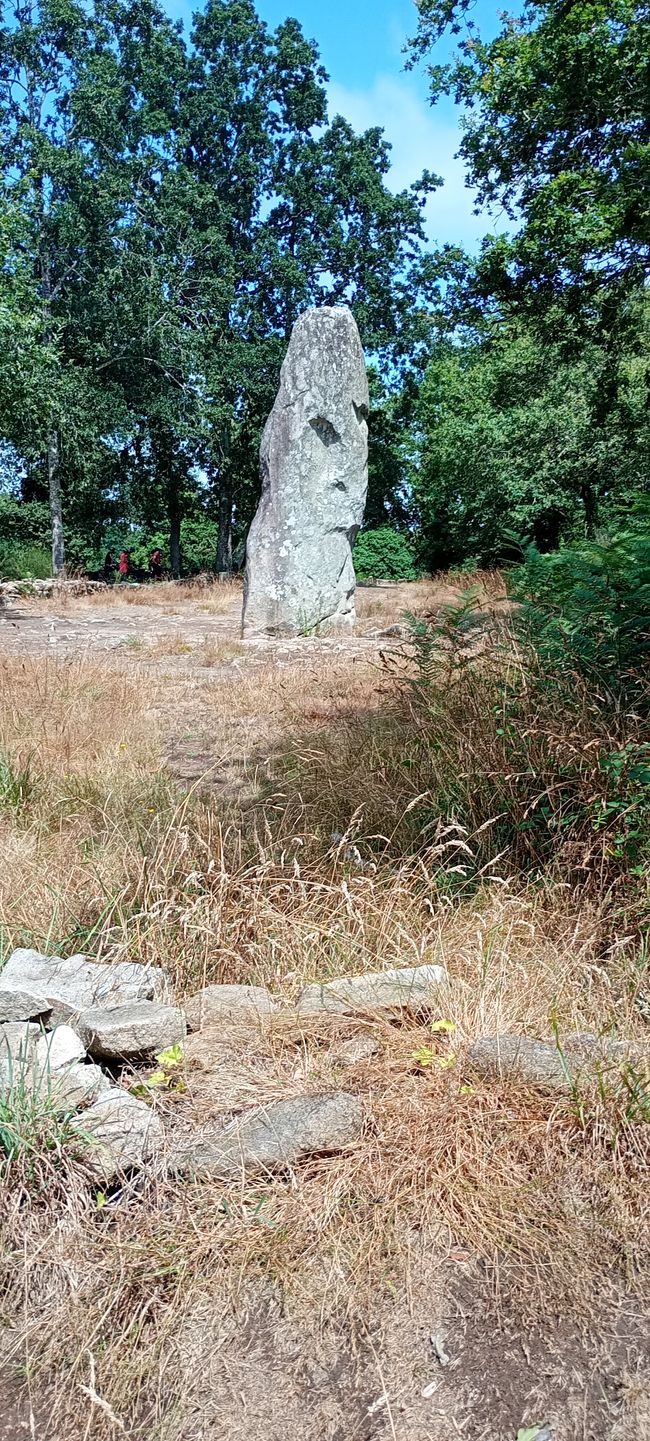 Menhir Géant du Manio 