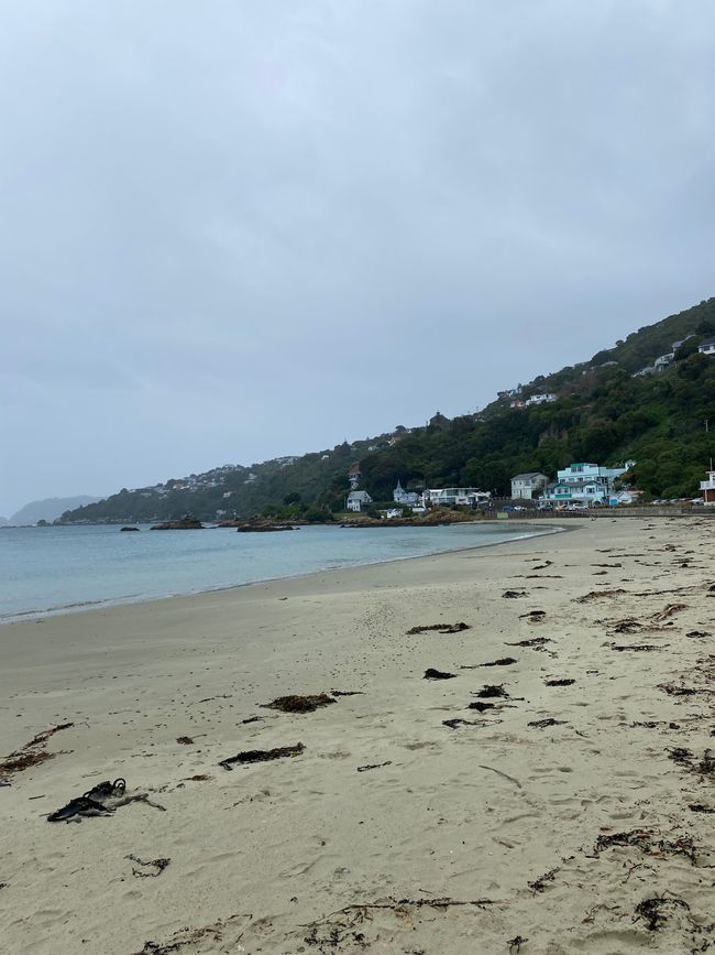 Strand bei Point Halswell Lighthouse