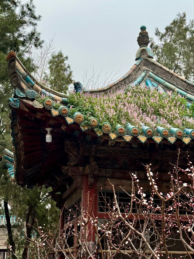 Part 2: Xi'an and Chengdu 🐼