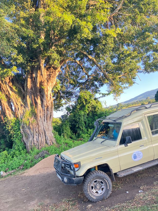 Il Cratere di Ngorongoro