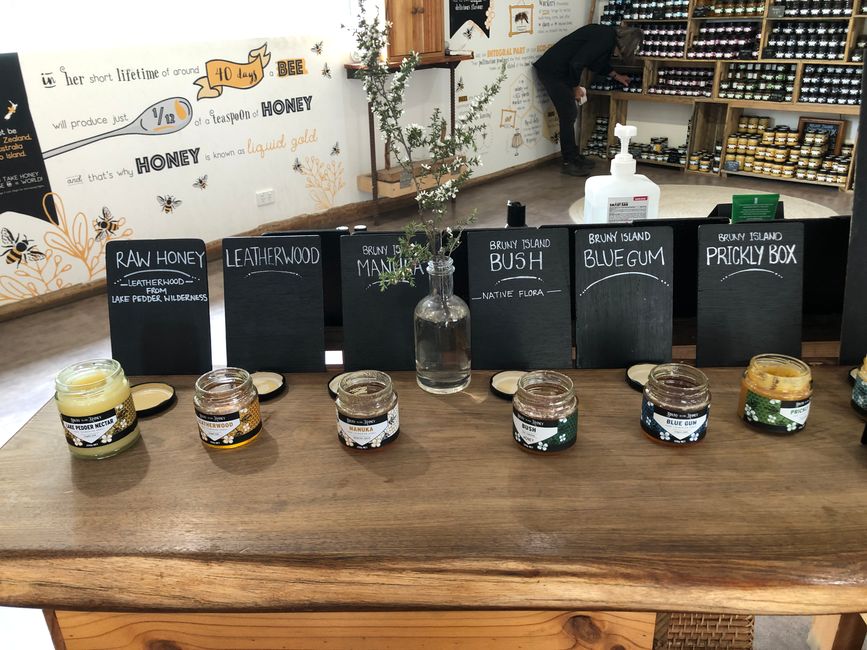 ... ein Honig-Tasting genießen ...
