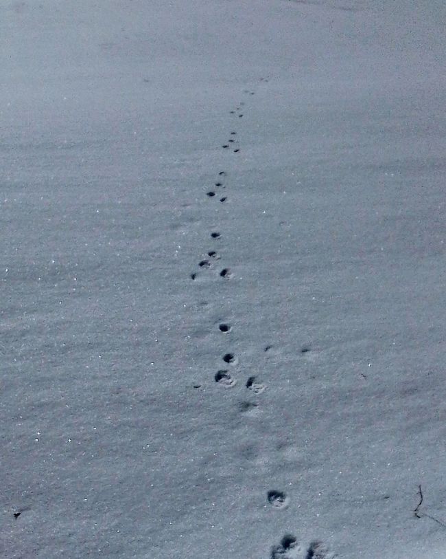 Reset - Neve di ieri, o quale fondamento vuoi costruire?