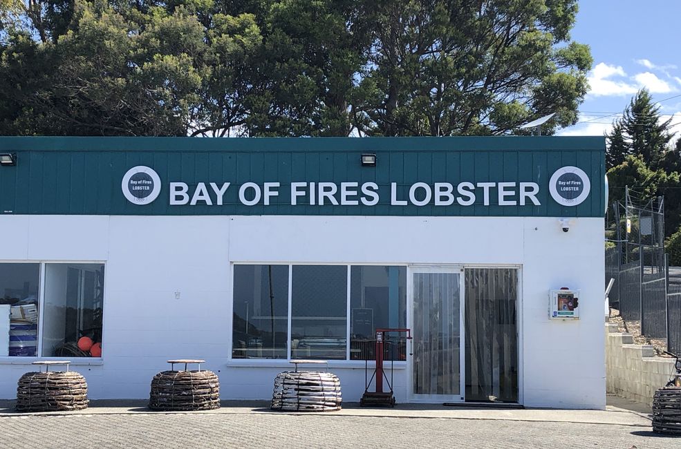 Die Bay of Fires LOBSTER Company ...