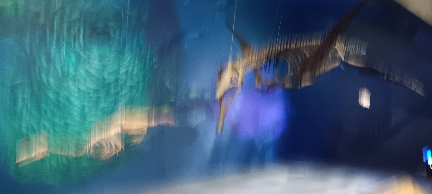 Museum of natural history I