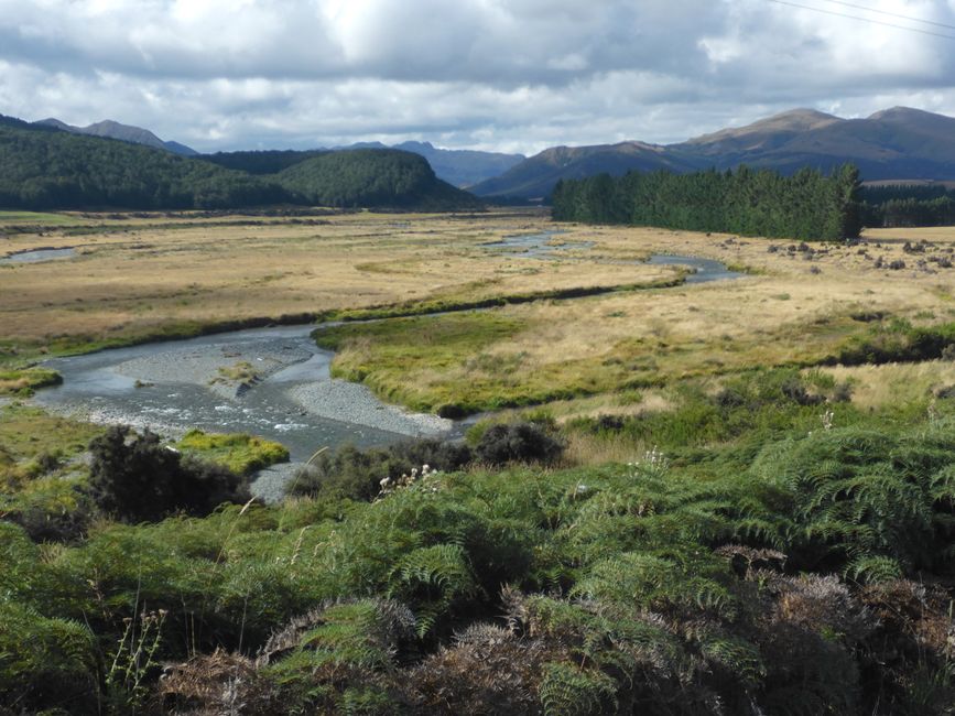 2025-02-19 Fjordland; NZL