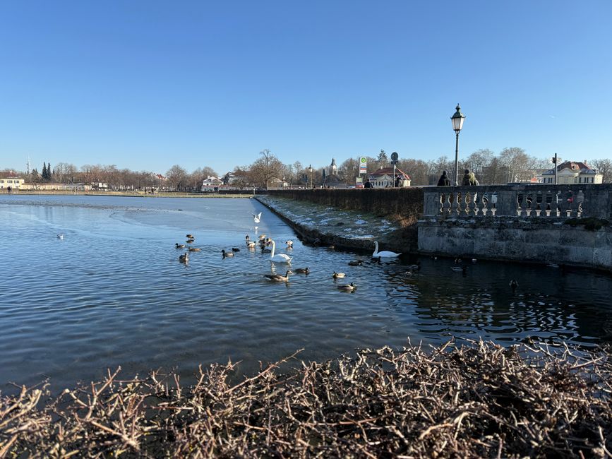 📍Schloss Nymphenburg, München/📍Castle Nymphenburg, Munich