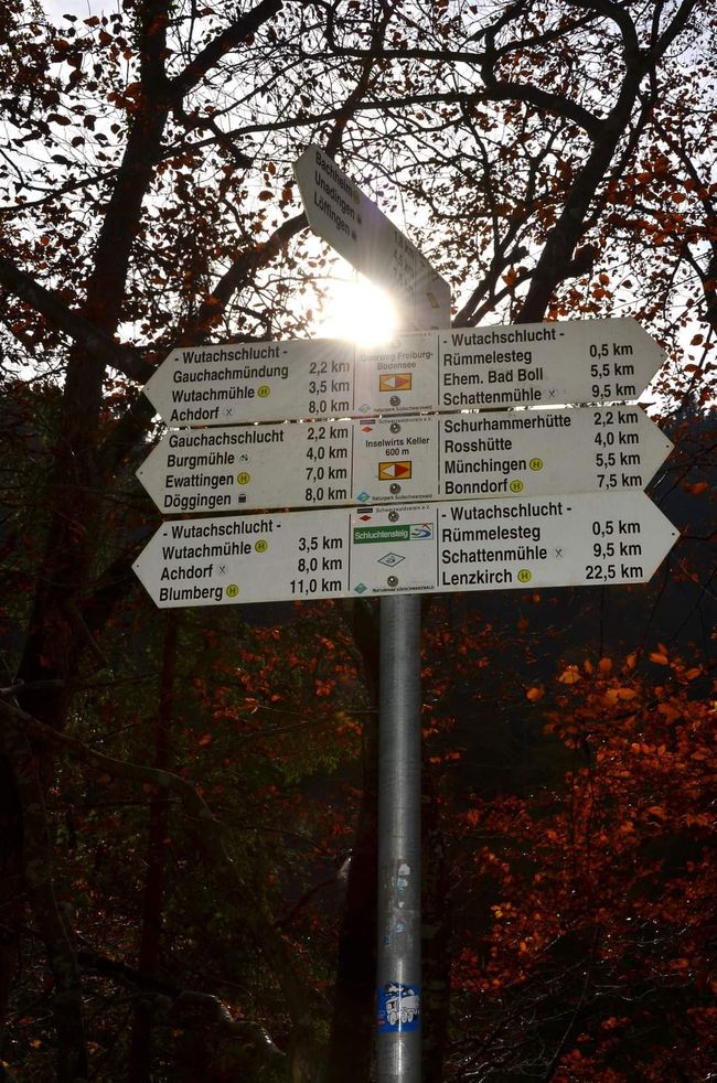 Autumn hiking in the Wutach Gorge: Red, yellow, orange... and you're right in the middle!