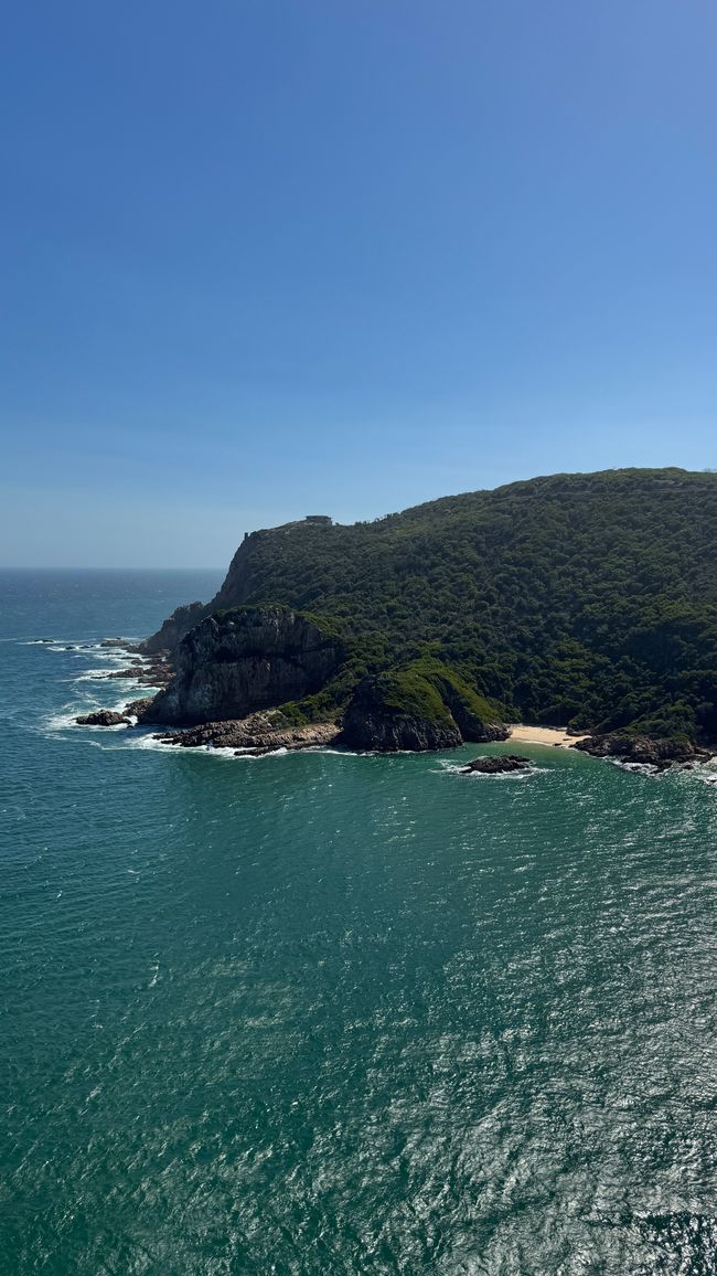 De la safari al mar