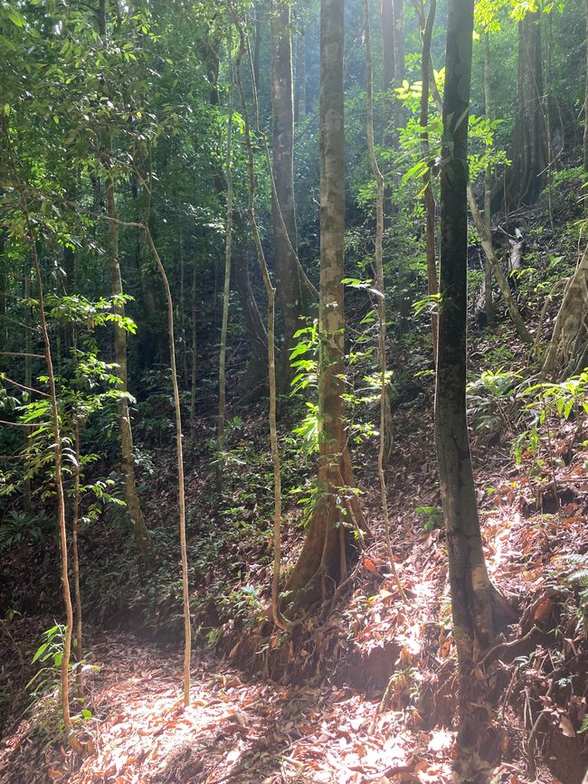 Kleine Wanderung