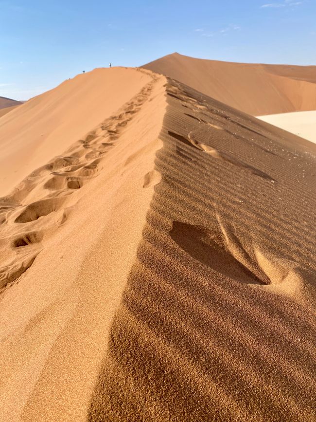 Namibia 2024: Die Wüstenfüchse