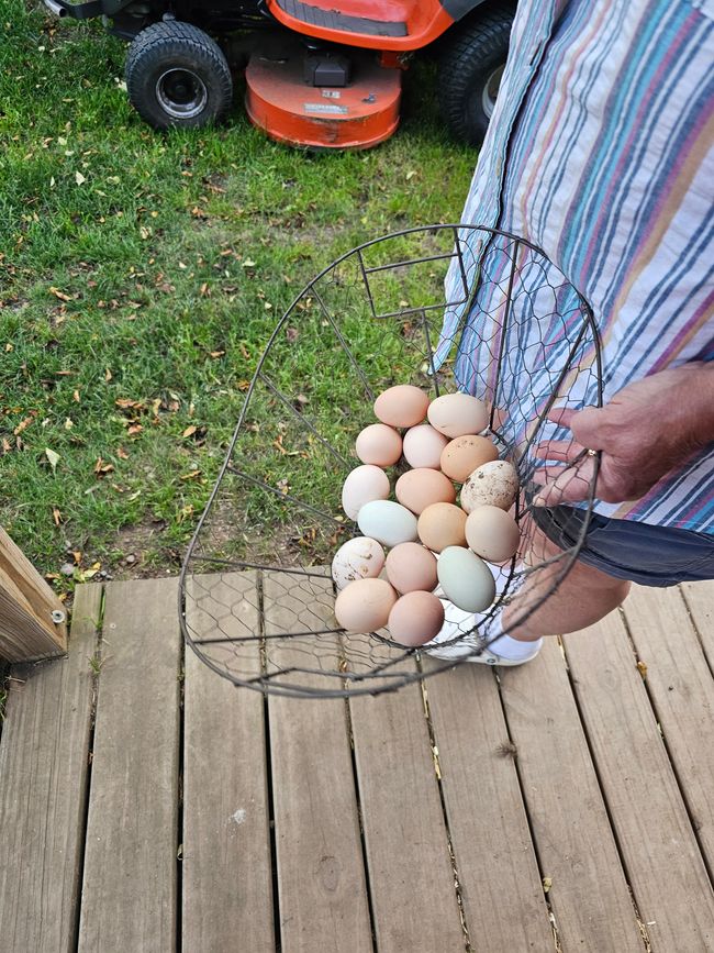 Eier von gestern und heute 