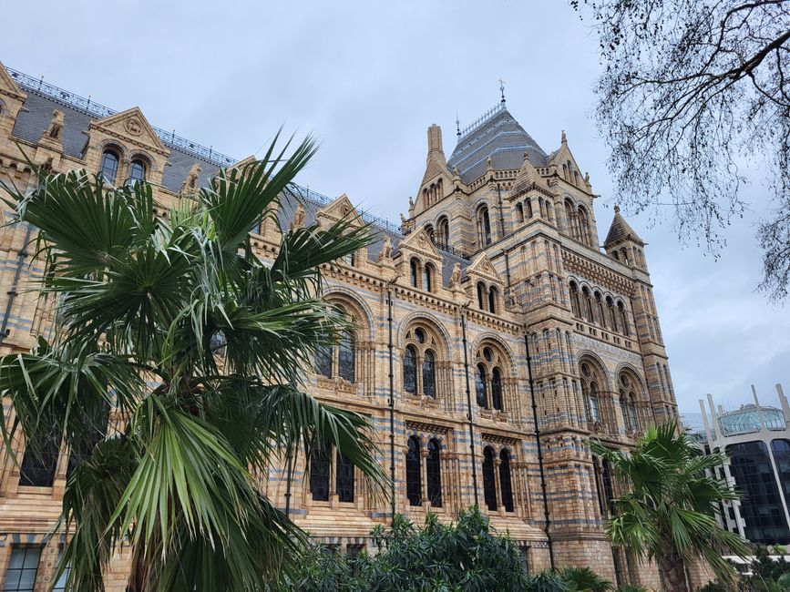 Natural History Museum
