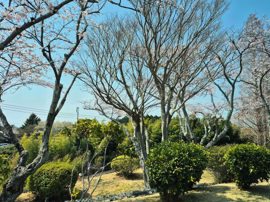 Auf dem Weg zur Nihondaira Yume Terrace