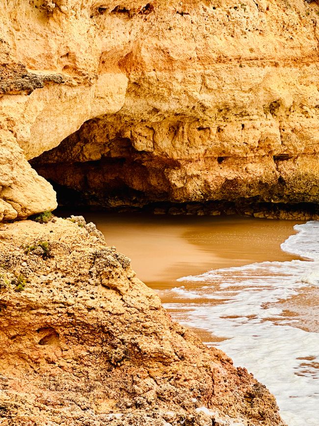 Ein Tag voller Naturgewalten und ruhiger Momente