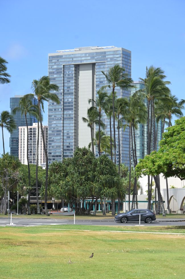 Honolulu - Banyan Tree