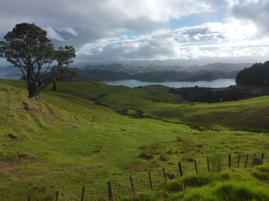 2025-04-11 NZ, Coromandel