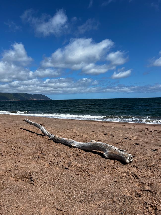 Plage sauvage