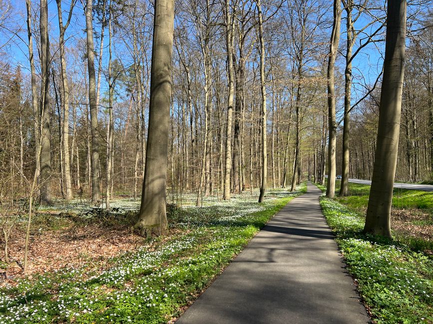 10 hacia Lübeck