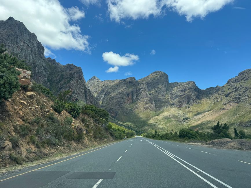 Weihnachtstage in Stellenbosch