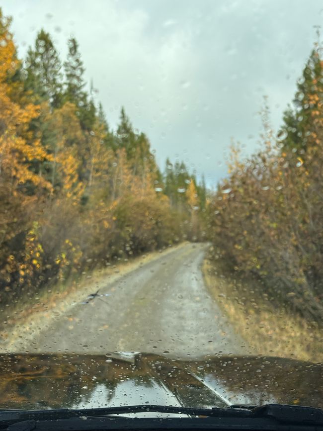 Day 5 - 🚐 Pothole Slalom, Moose Menus, and Off-Road Adventures – our day on the Canol Road