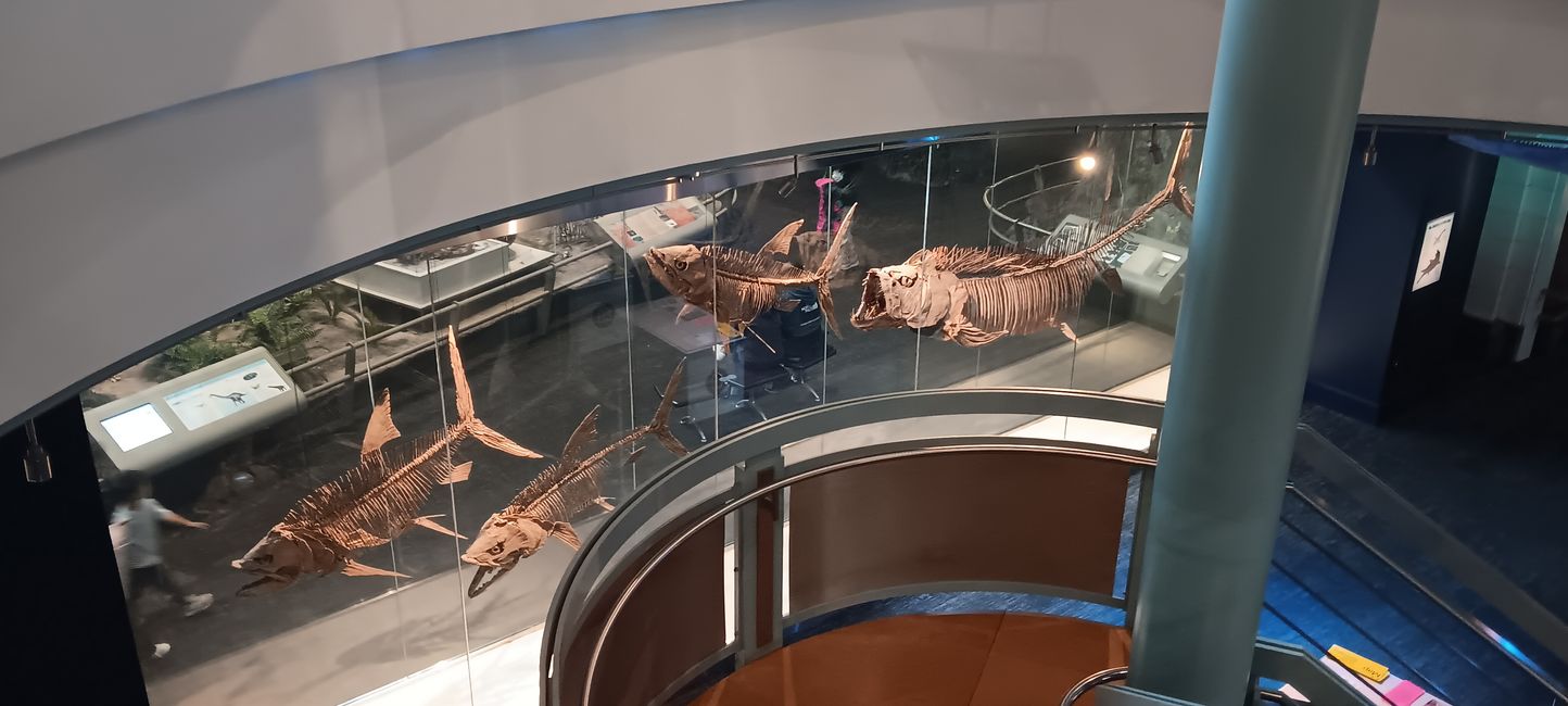 Museum of natural history I