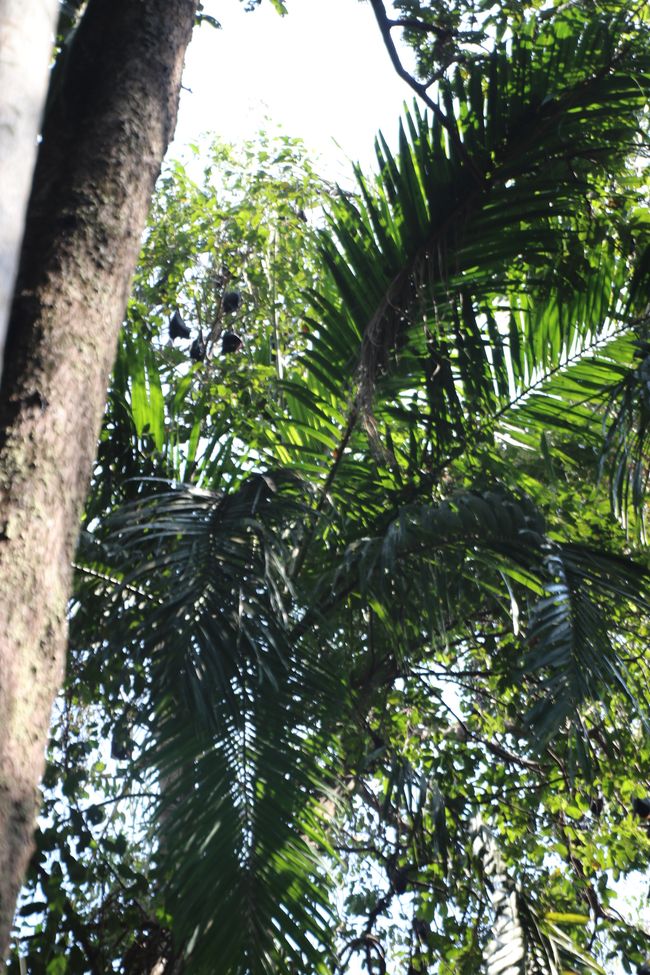 Day 27: On the road in Litchfield National Park