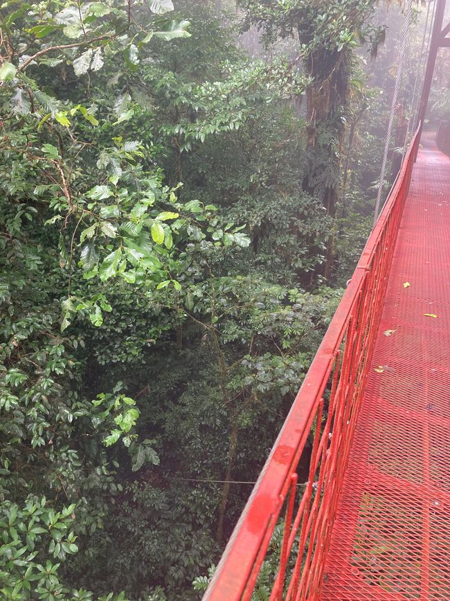 Monteverde