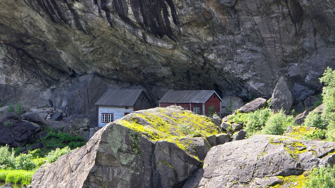 Isola Runde-Sud Norvegia
10 Giugno 2026