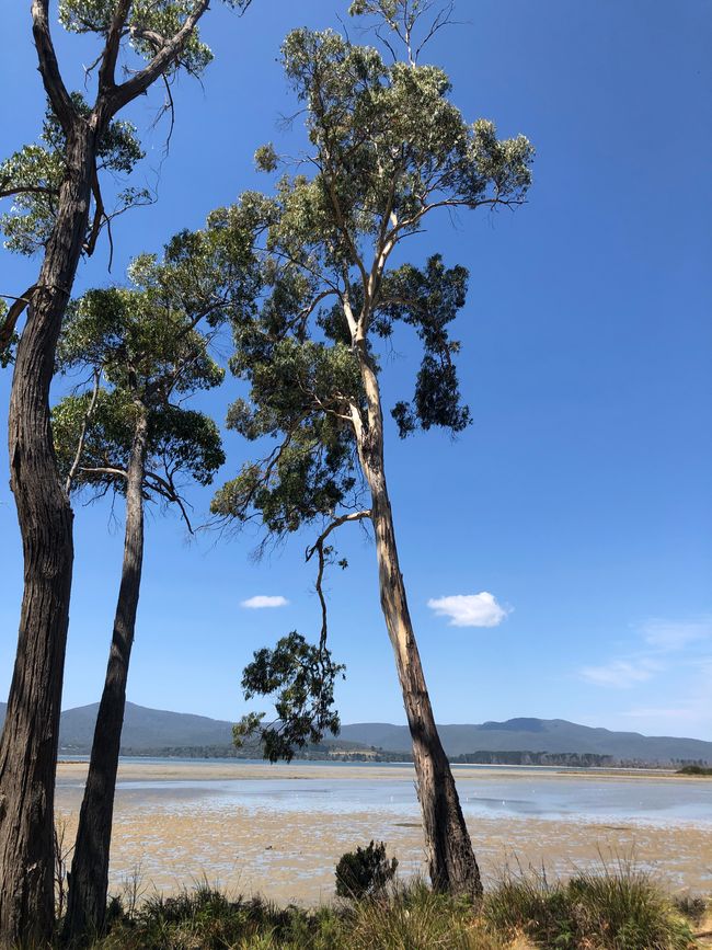 Die Cloudy Bay Lagune ...