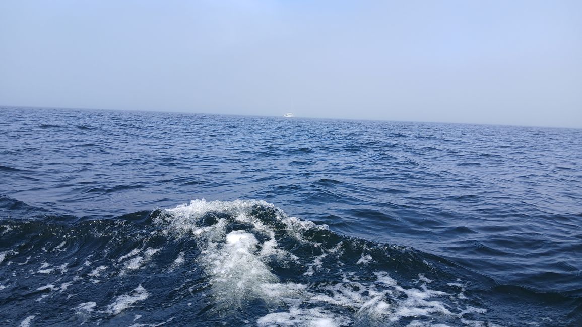 Tag 7