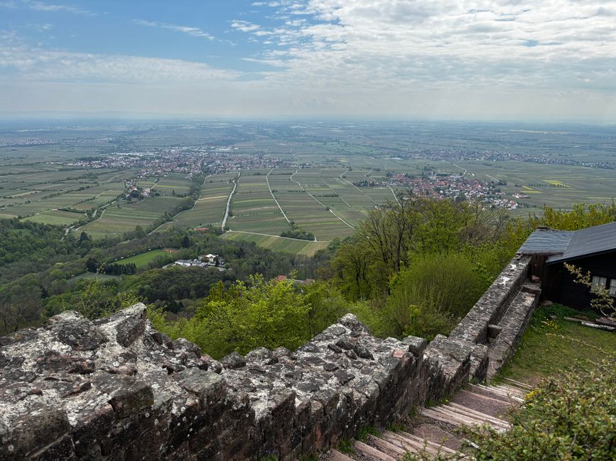 Vista sulla terra del vino