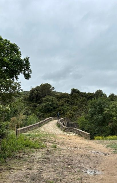 8. Tag 
Puente la Reina - Estella