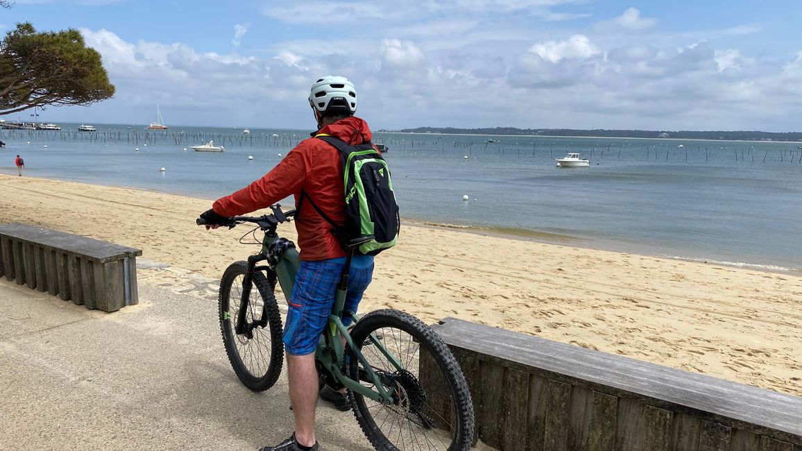 CAP FERRET-Austernzucht