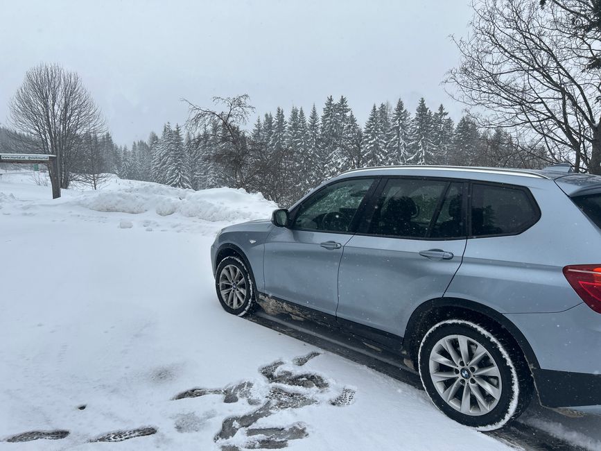 Schnee am Trieben