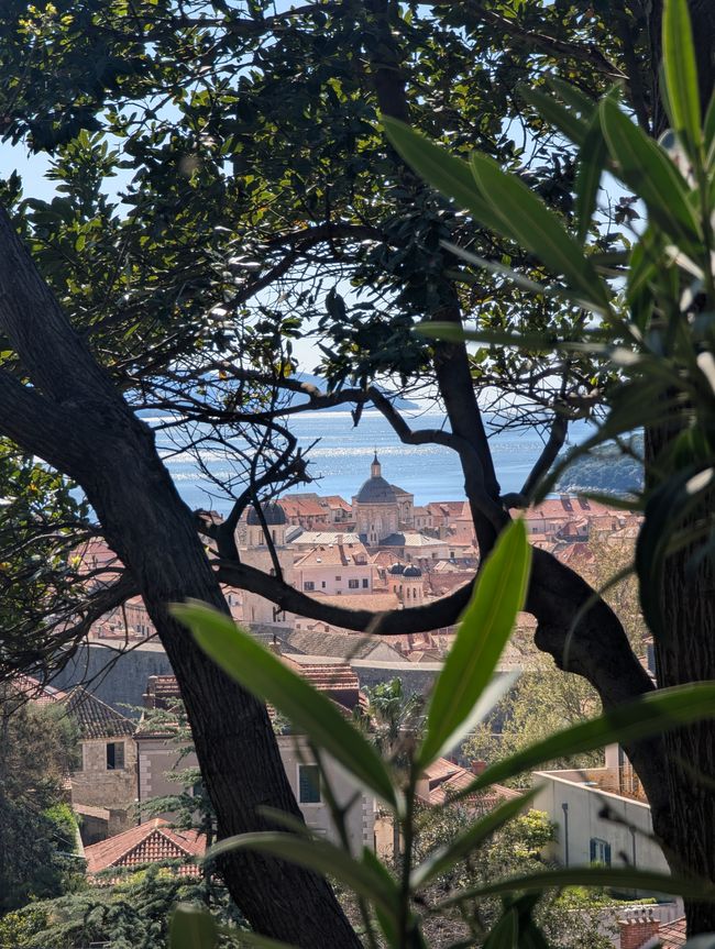 Di nuovo a casa e uno sguardo al mio viaggio