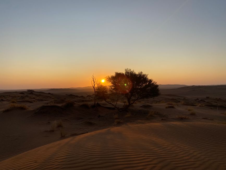 Desierto de Namibia 🏜️