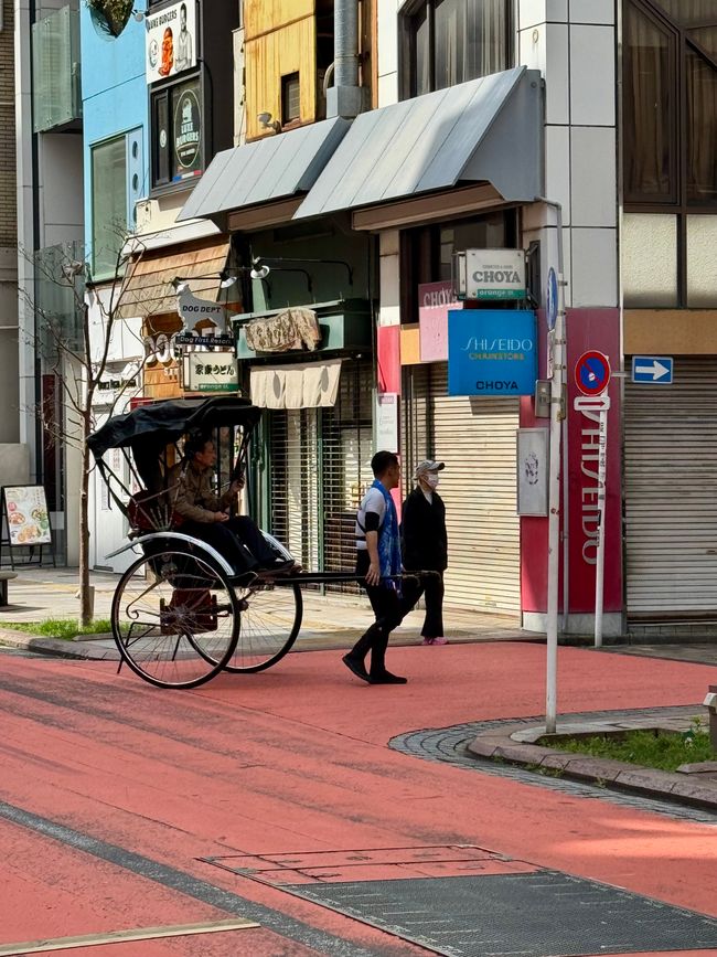 Parte 7
BENVENUTO IN GIAPPONE 🇯🇵
TOKYO