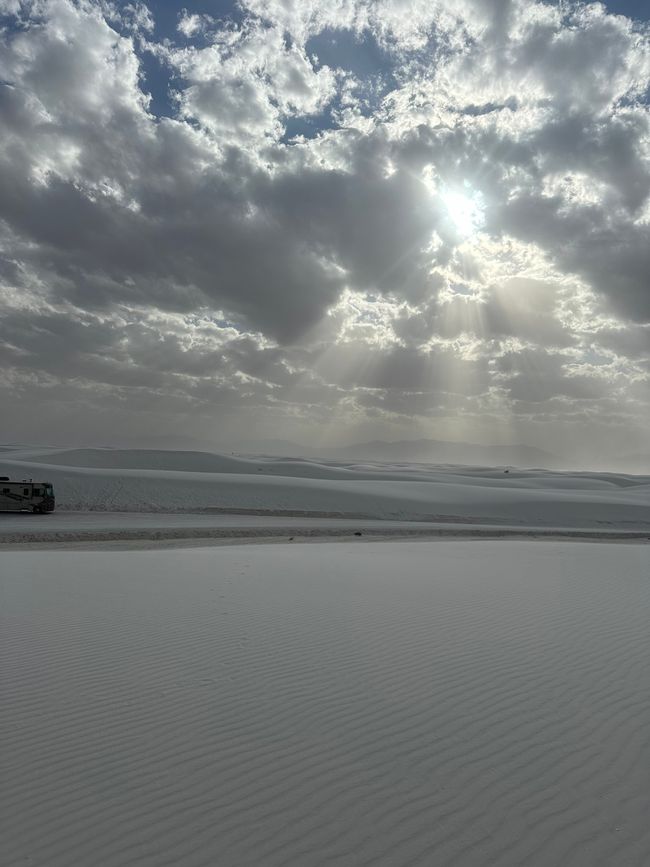 Arizona/ New Mexico/ Petrified Forest/ White Sands