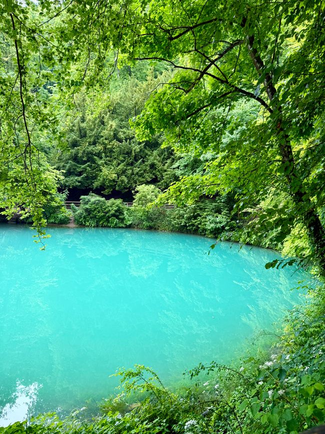 📍Blautopf, Blaubeuren