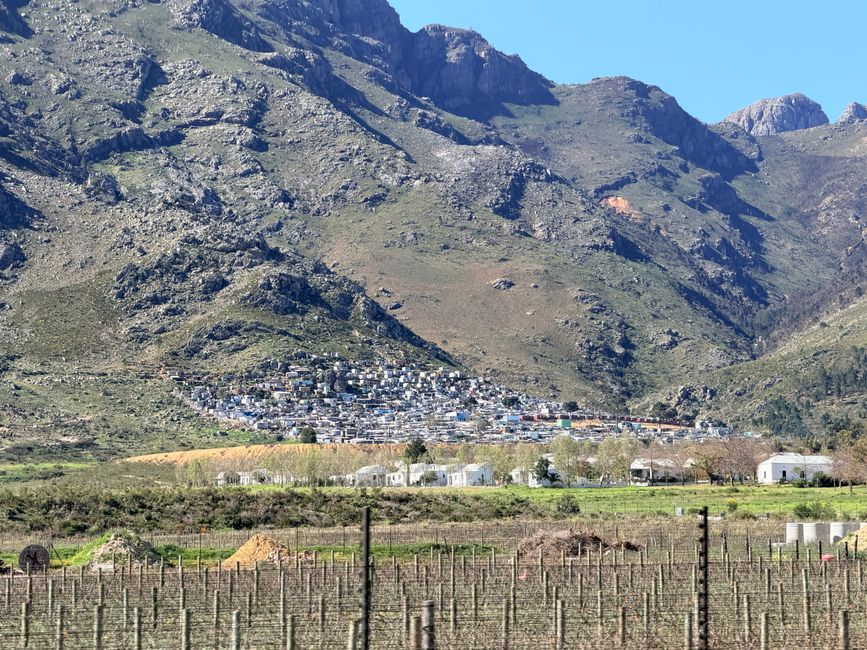 Stellenbosch und Franschhoek